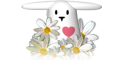 Widget Love Test